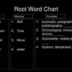 Words with the root hydr