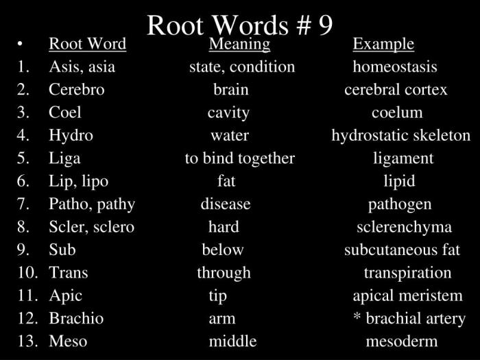 Words with the root hydr