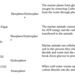 Gizmo answer key carbon cycle