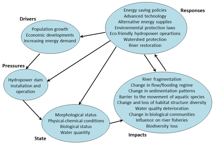 Which of the following are documented negative impacts of dams